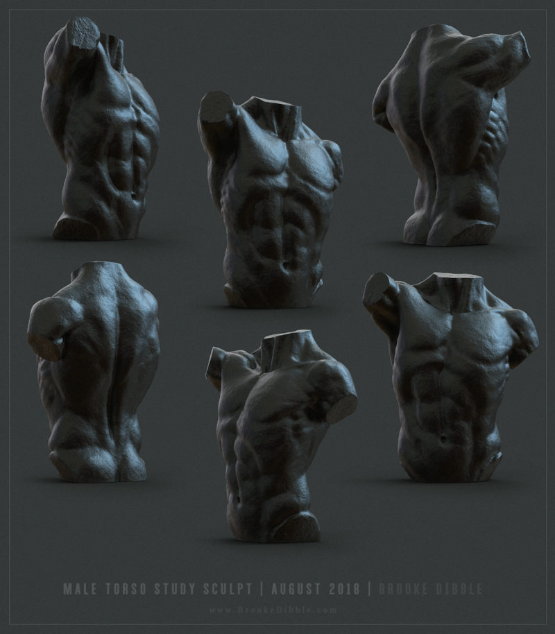 August 2018 | Male torso 3D study sculpt
