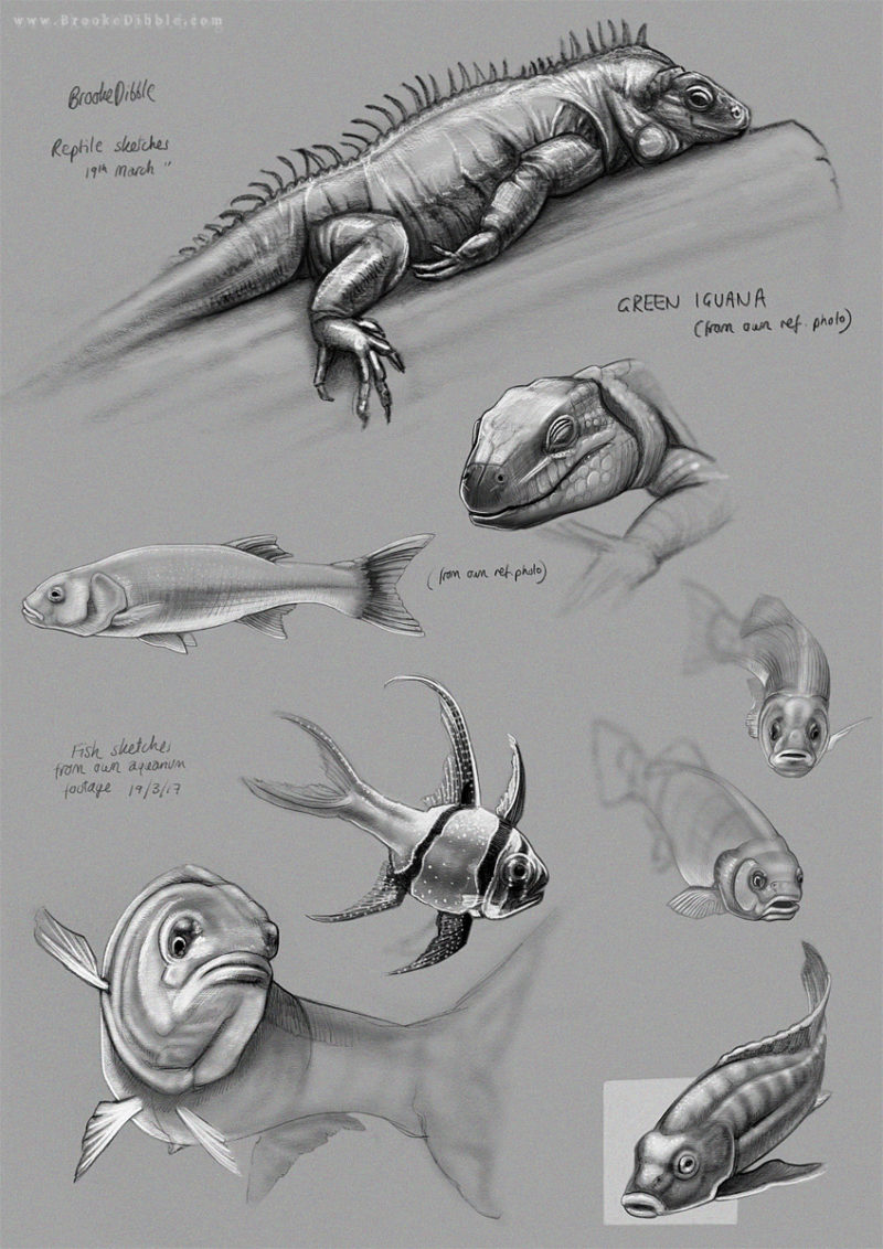 iPad Pro sketches of fish and reptiles 19th March '17
