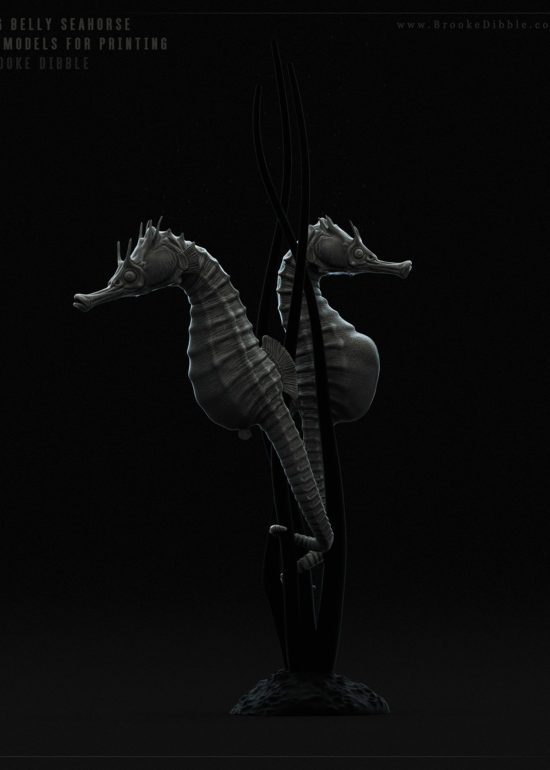2016 | Big Belly Seahorse (Hippocampus Abdominalis) 3D model for printing