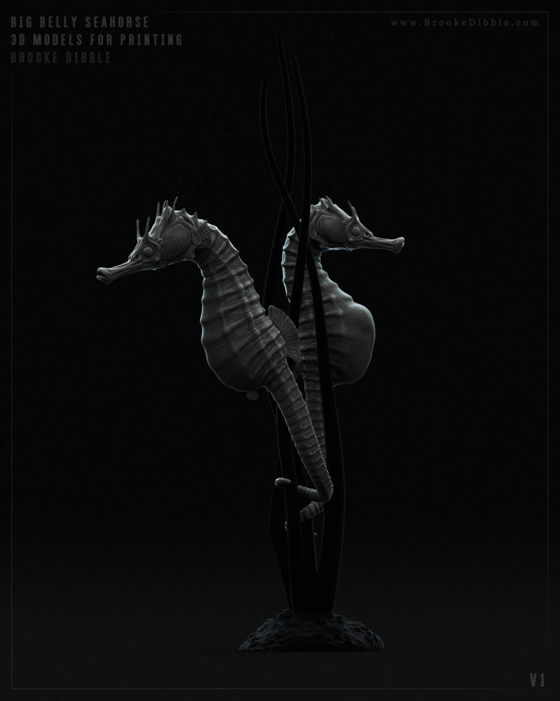 2016 | Big Belly Seahorse (Hippocampus Abdominalis) 3D model for printing