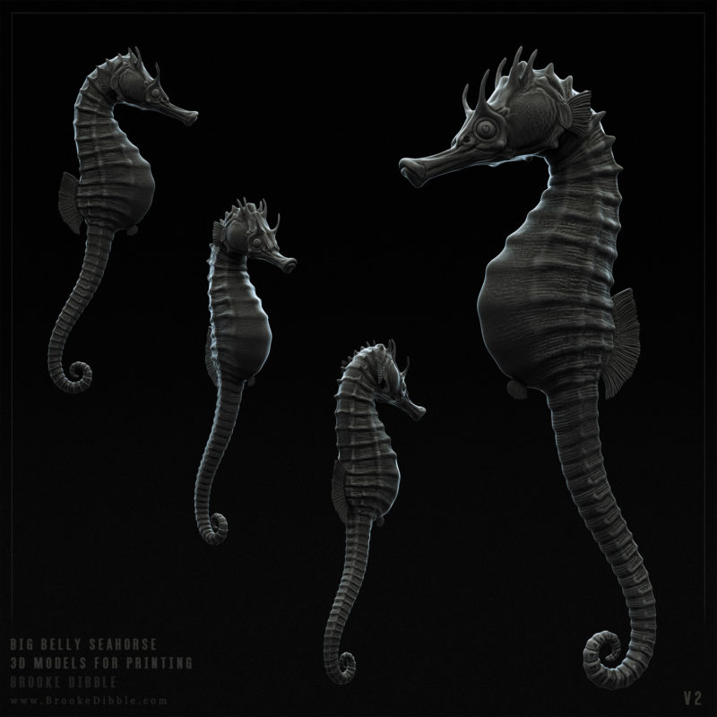 2016 | Big Belly Seahorse (Hippocampus Abdominalis) 3D model for printing