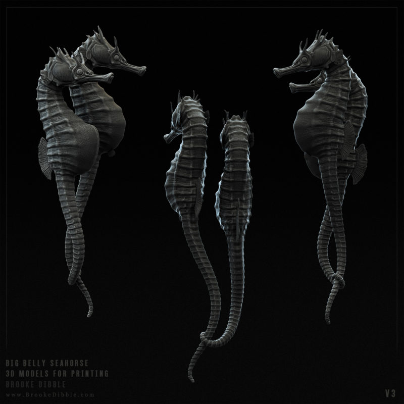 2016 | Big Belly Seahorse (Hippocampus Abdominalis) 3D model for printing