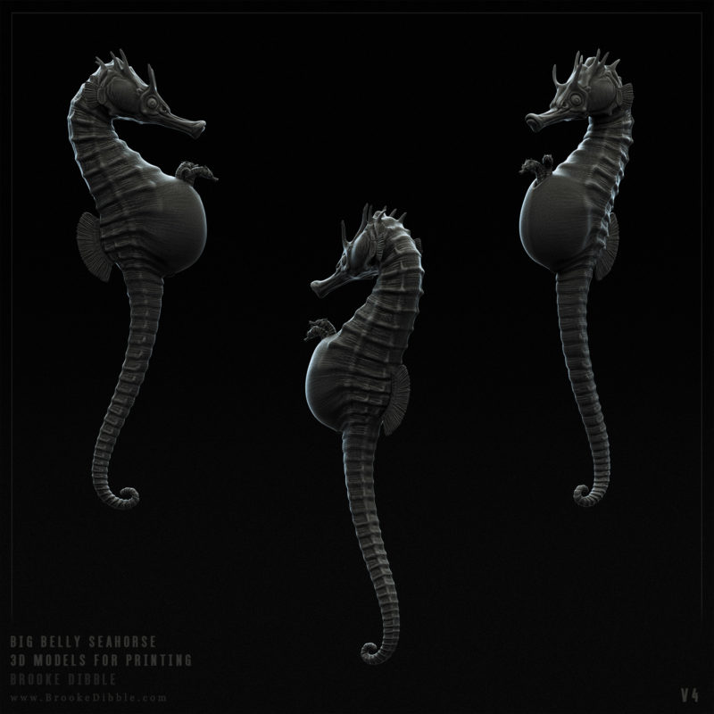 2016 | Big Belly Seahorse (Hippocampus Abdominalis) 3D model for printing